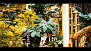 امپراطوری گلها