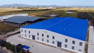 تولید ظروف یکبارمصرف با نشاسته برنج