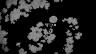 اندینگ فصل اول انیمه اتک ان تیتان/Attack on titan