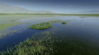 زیبایی سرودمذهبی شهرکرد