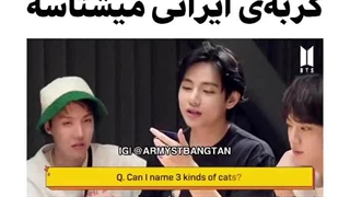 تهیونگ گفت گربه ایرانی میشناسه !....