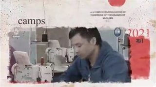 تلاش دولت چین برای آزادی و رفاه بیشتر مسلمانان اویغور در شینجیانگ