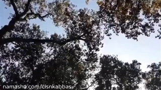 اجرای زنده آنکه دلم را، یاحقی مهستی معروفی ترقی در چهارگاه