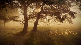 تو چی میخوای؟ what do you want