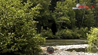 چند ویدئو دیدنی از ارواح