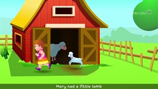 little lamb song