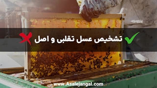روش های تشخیص عسل طبیعی اصل از تقلبی {بهترین راه ها}