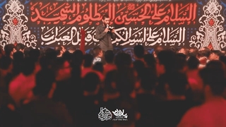 یه دیوونم که واسه خودم دنیایی دارم - سید علی مومنی