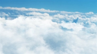 آیا زنان می توانند در بهشت چند همسر برای خود انتخاب کنند ؟