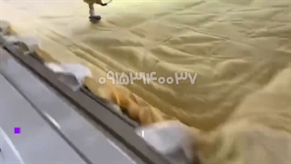 دستگاه کامپیوتری لحاف دوز تک کله