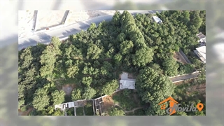 زمین برای سرمایه گذاری قابل تفکیک _ نویلا