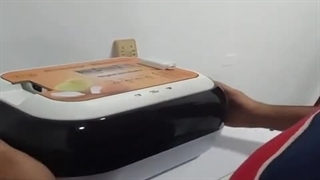 جوجه کشی موفق از تخم عروس هلندی با دستگاه جوجه کشی 12 تایی حرفه ای