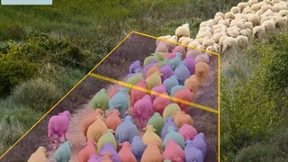 استفاده از هوش مصنوعی در دامپروری