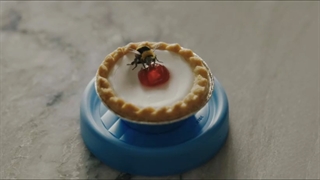 مرد در مقابل زنبور_فصل1_قسمت1