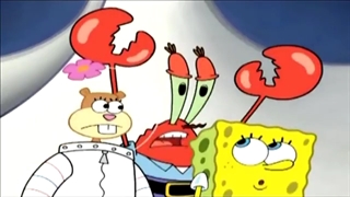 باب اسفنجی پنج قسمتی