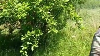 مبارزه با کرم الو در اکین نهال