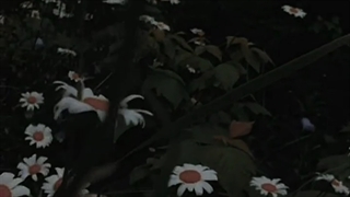 خاطرات‌هیچوقت‌تنهامون‌نمیذارن