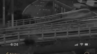 تا زمانی که آدم بودید!