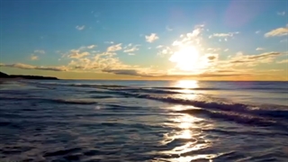 بخش اول جملات تاکیـــــــــــــــــــــــــدی  باور ثــــــــــــــــــــــــــــــــــــــــــــروت ساز