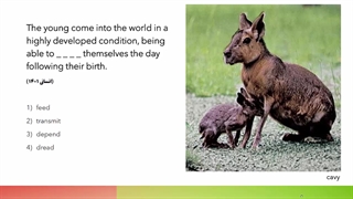 زبان انگلیسی دوازدهم، صفحهٔ ۲۱ تا ۲۳