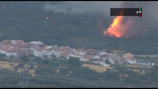 نابودی ۳۶۰ هزار هکتار جنگل در ۱۱ کشور اروپایی