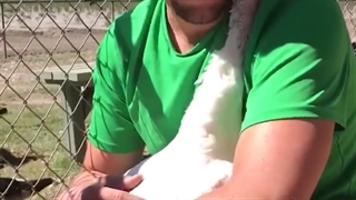 بگلی پر از عشق و وابستگی لایک و نظر هم فراموش نشه