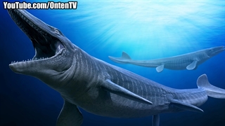 موساسور بزرگترین مارمولک تاریخ زمین را بشناسید...