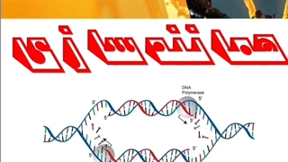 زیست-ژنتیک-کنکور( تدریس زیست : 09044686613)
