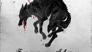 آهنگ جدید امید واردان فازم الان | Omid Wardan – Fazam Alan