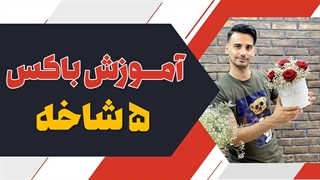 باکس گل 5 شاخه رز قرمز | علی ولی