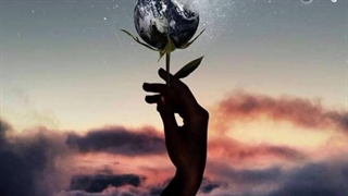 سکوت ارامش . روژین روناسی