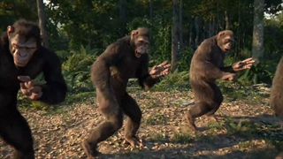 ویدیو کلیپ بامزه از خوانندگی میمون ها