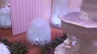 Jentle home tor with jennie