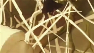 ادیت خفن از بلک کلاور