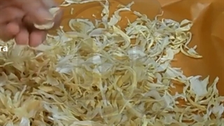 اموزش خشک کردن پیاز / دستگاه خشک کن پیاز و انواع میوه ها