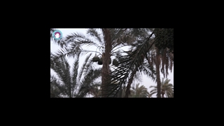 افتتاحیه شعبه پنجم باشگاه مطالعاتی تکما در روستای حیر