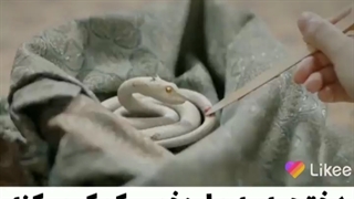 سریال : دلتنگ اژدها چینی