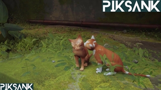 گیم پلی بازی Stray قسمت 1