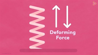 فرق پلاستیک و لاستیک چیست ؟