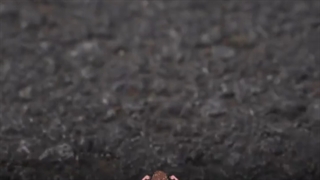 من فقط باید اراده کنم