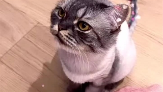 ابدیت استوری پارک شین هه ٨ ساعت پیش ( ١٠ مرداد ساعت ۶ بعد از ظهر)