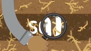 life in the soil.. soil is life.