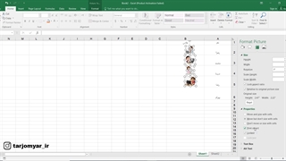 نحوه گذاشتن عکس در سلول های اکسل و قفل کردن آن