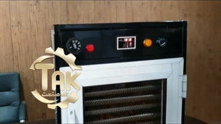 کارافرینی با خشک کن میوه در منزل