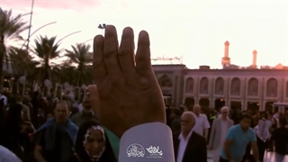 میخونم هر سحر آروم | محمدحسین پویانفر