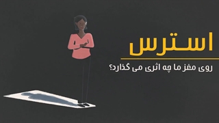 استرس روی مغز ما چه اثری میگذارد؟