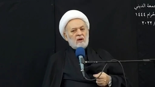 ما یریده أئمتنا علیهم السلام منا فی یوم عاشوراء