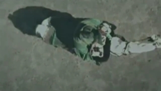 ساقی مستان تویی شعری از محمد خوش بین