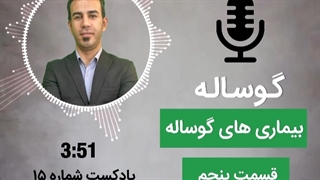 بیماری های گوساله (5)