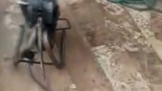 لوله بازکنی صادقیه با پشتیبانی چندماهه ☎️ 09128102460 ☎️